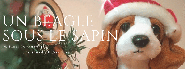 Opération un beagle sous le sapin