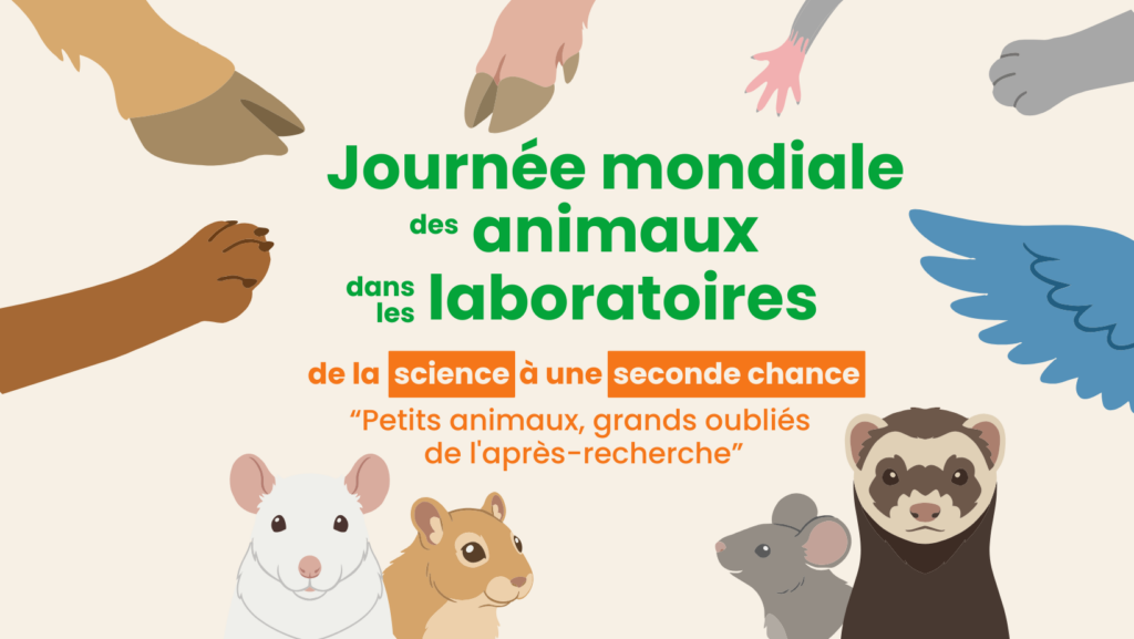 Communiqué de presse du GRAAL