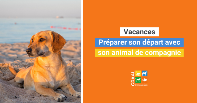 Préparer les vacances avec son animal de compagnie Préparer les vacances avec son animal de compagnie