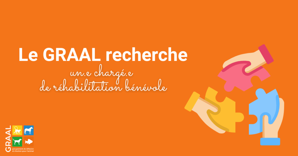 Le GRAAL recrute – Chargé.e de réhabilitation Le GRAAL recrute – Chargé.e de réhabilitation