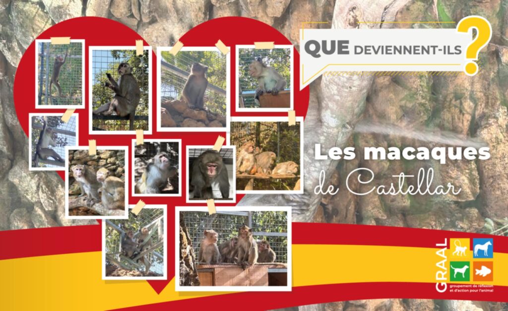 Douce retraite en Espagne Douce retraite en Espagne