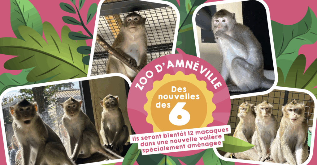 Six nouvelles arrivées dans la troupe