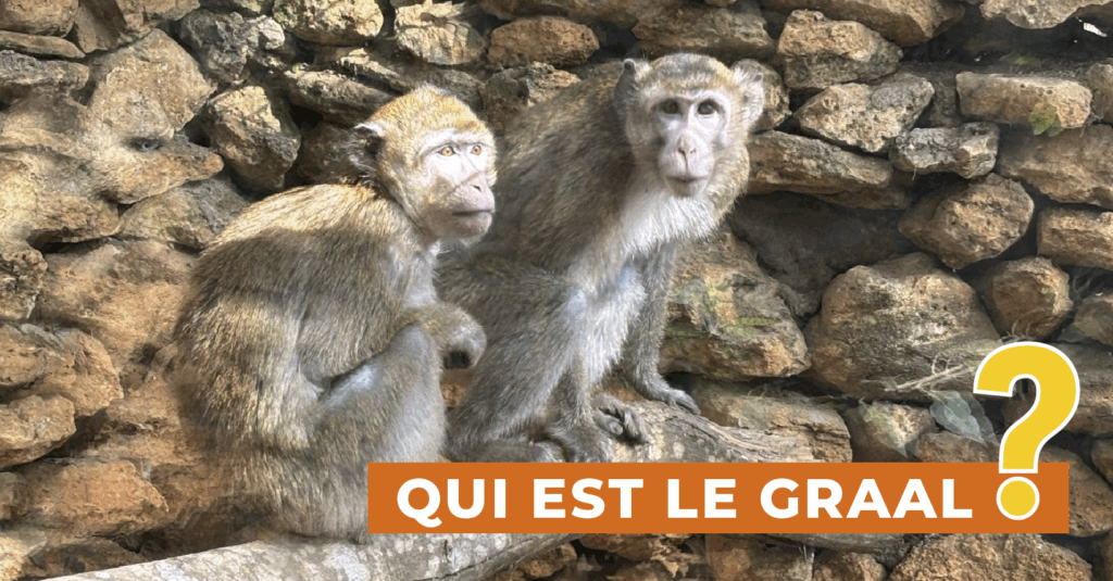 Le graal et sa mission Le graal et sa mission