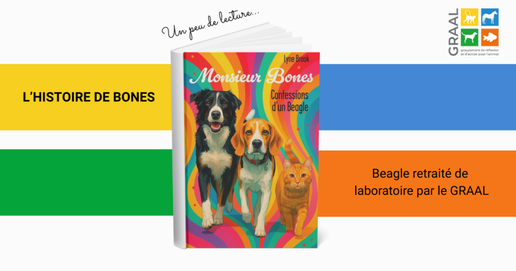 L&rsquo;histoire d&rsquo;un beagle de labo à la retraite