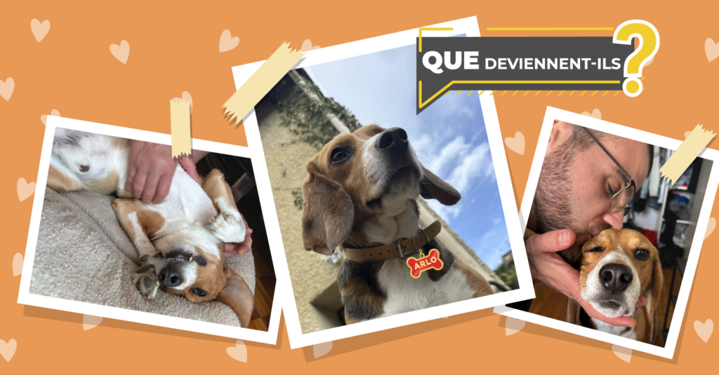 Des nouvelles d&rsquo;Arlo