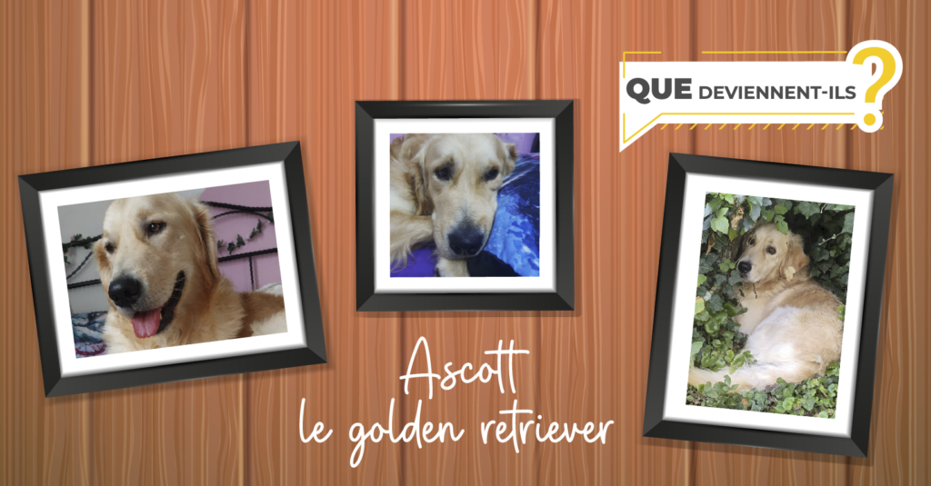 La nouvelle vie d’Ascott La nouvelle vie d’Ascott