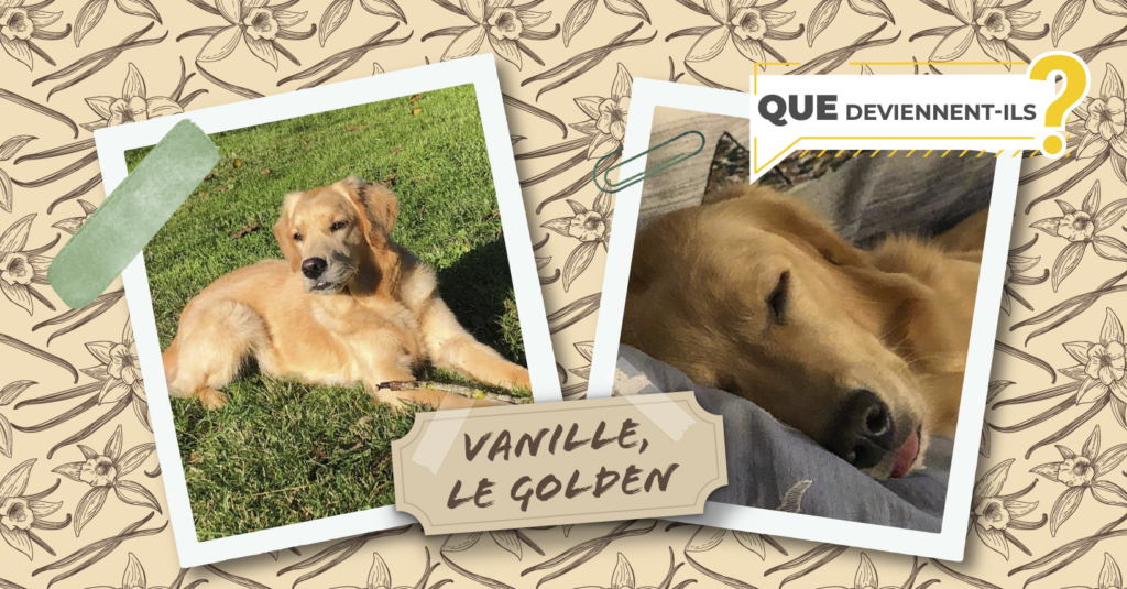 Des nouvelles de Vanille