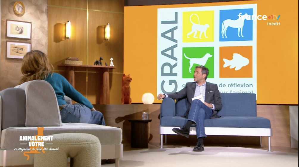 On parle du GRAAL dans l’émission Animalement Vôtre ! On parle du GRAAL dans l’émission Animalement Vôtre !