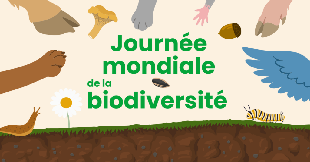 Journée mondiale de la biodiversité