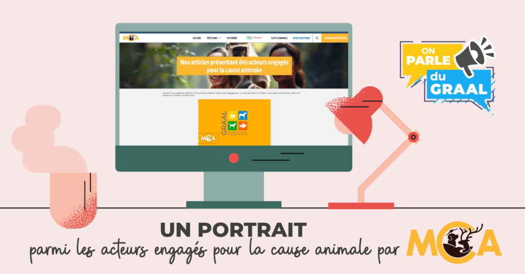 On parle du GRAAL sur MCA