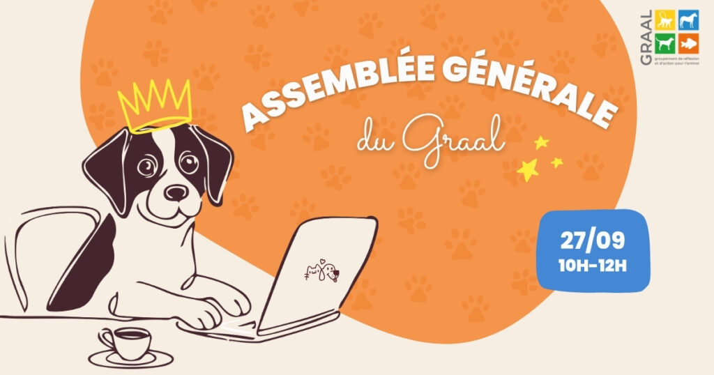 Save the date : Assemblée Générale du GRAAL 2026 ! Save the date : Assemblée Générale du GRAAL 2026 !