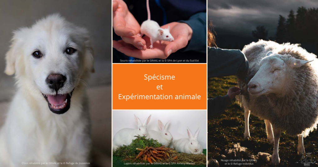 Spécisme et Expérimentation animale