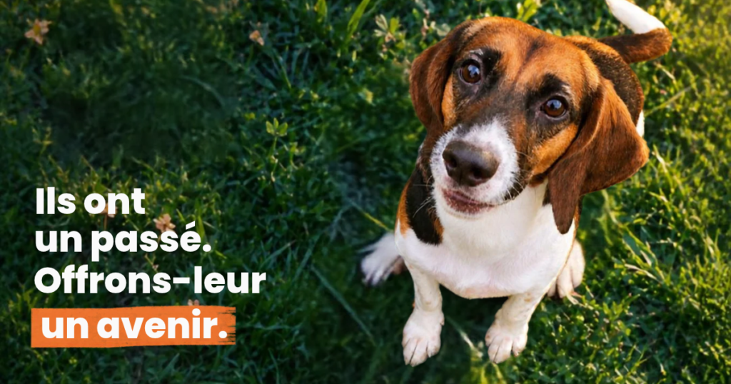 Campagne adhésions 2026