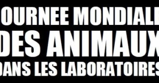 Journée mondiale animaux laboratoire