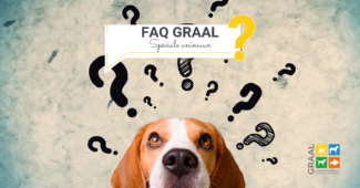 F.A.Q. du GRAAL spéciale animaux réhabilités