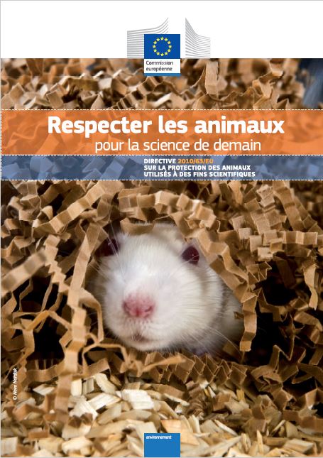 Collage animaux graal