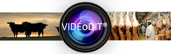 Logo VideOdit