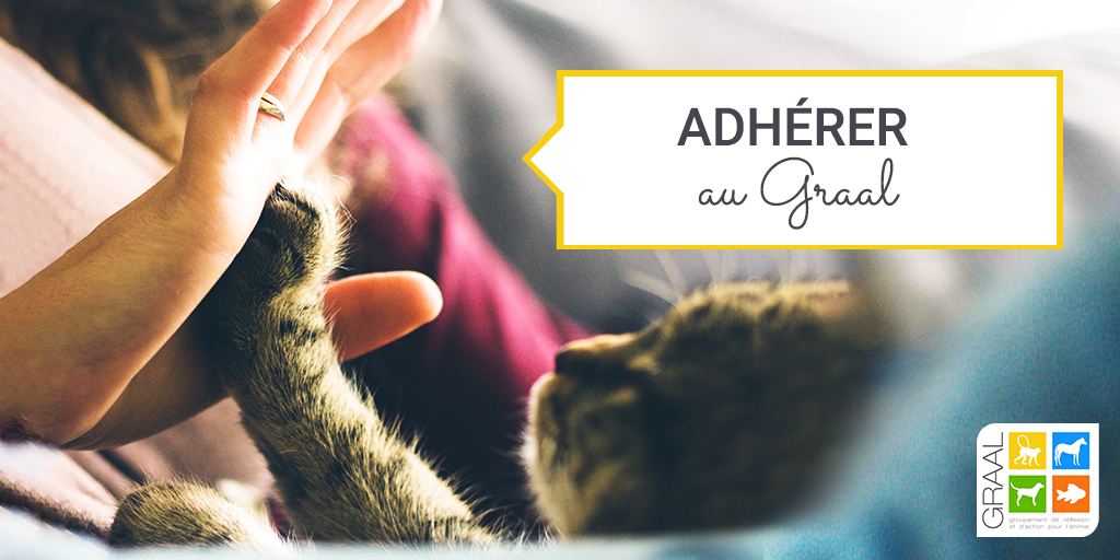 Votre adhésion est importante Votre adhésion est importante