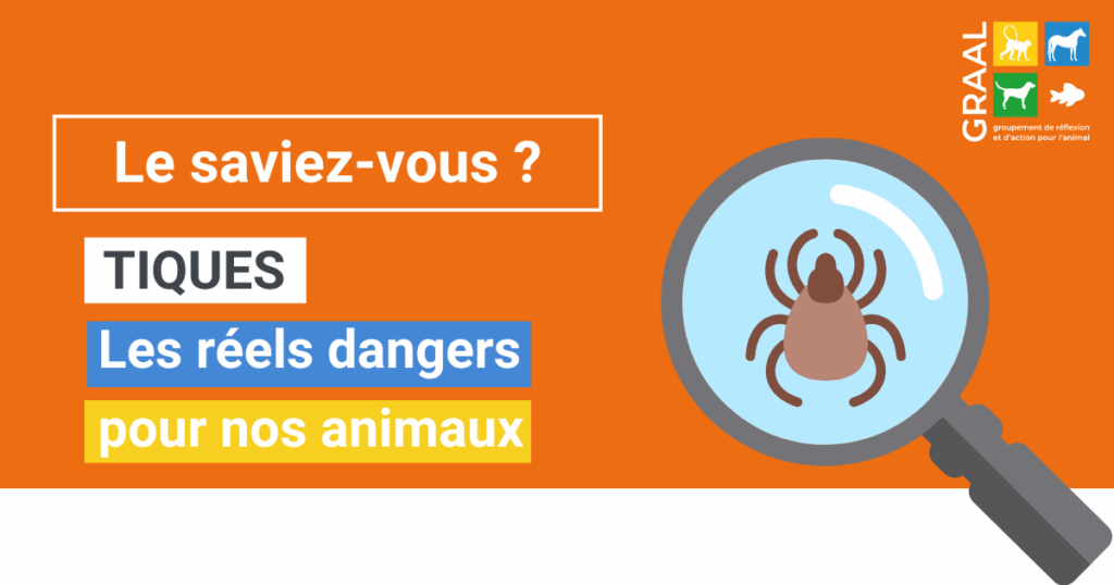 Les tiques sont de retour Les tiques sont de retour
