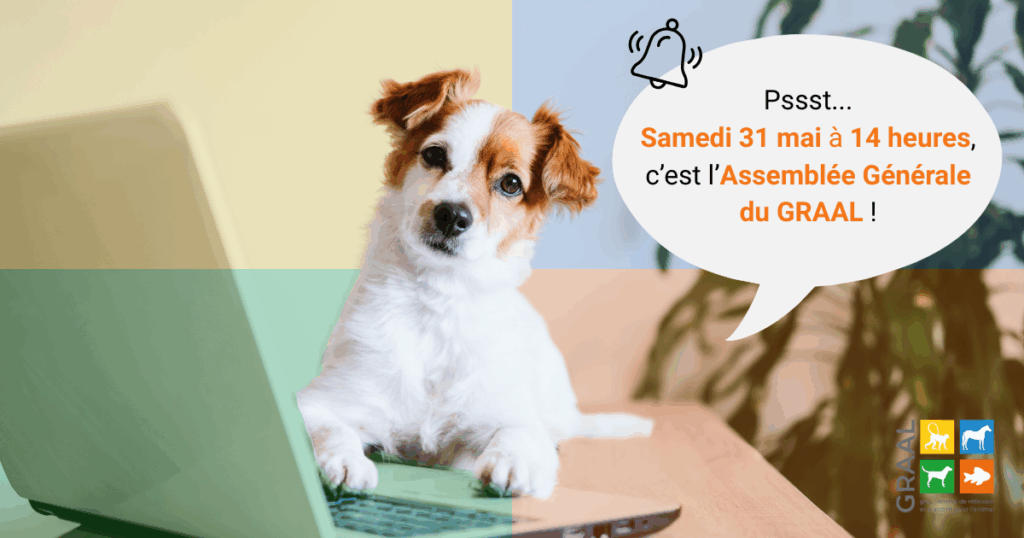 Save the date : assemblée générale du GRAAL