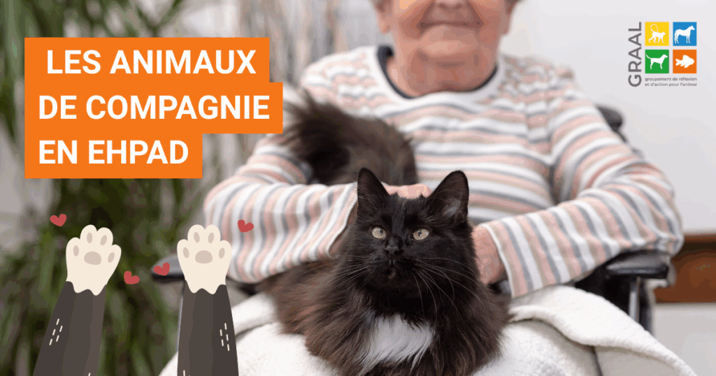 Les animaux de compagnie en EHPAD Les animaux de compagnie en EHPAD