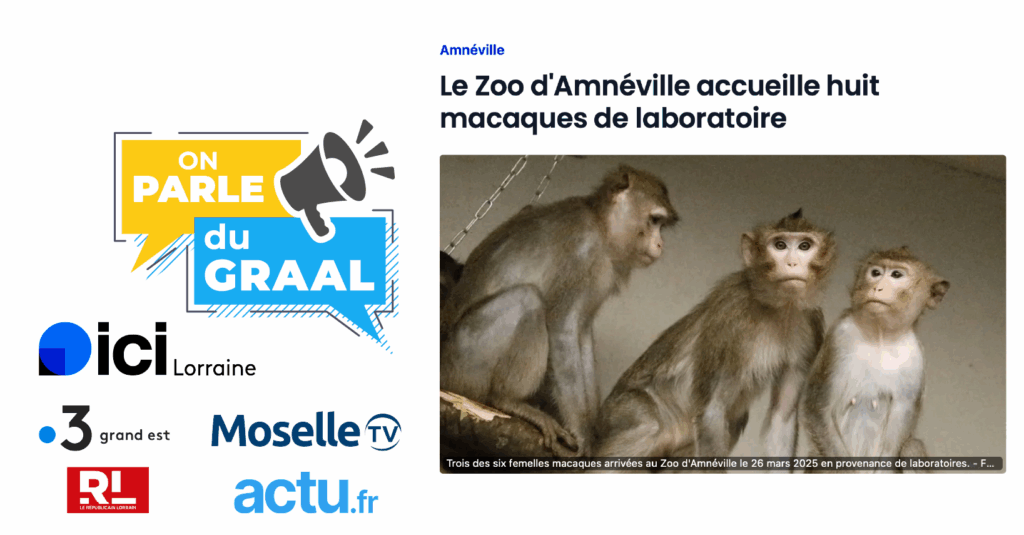 On parle du GRAAL ! On parle du GRAAL !