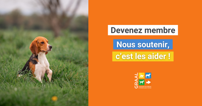 Pourquoi adhérer au GRAAL ? Pourquoi adhérer au GRAAL ?