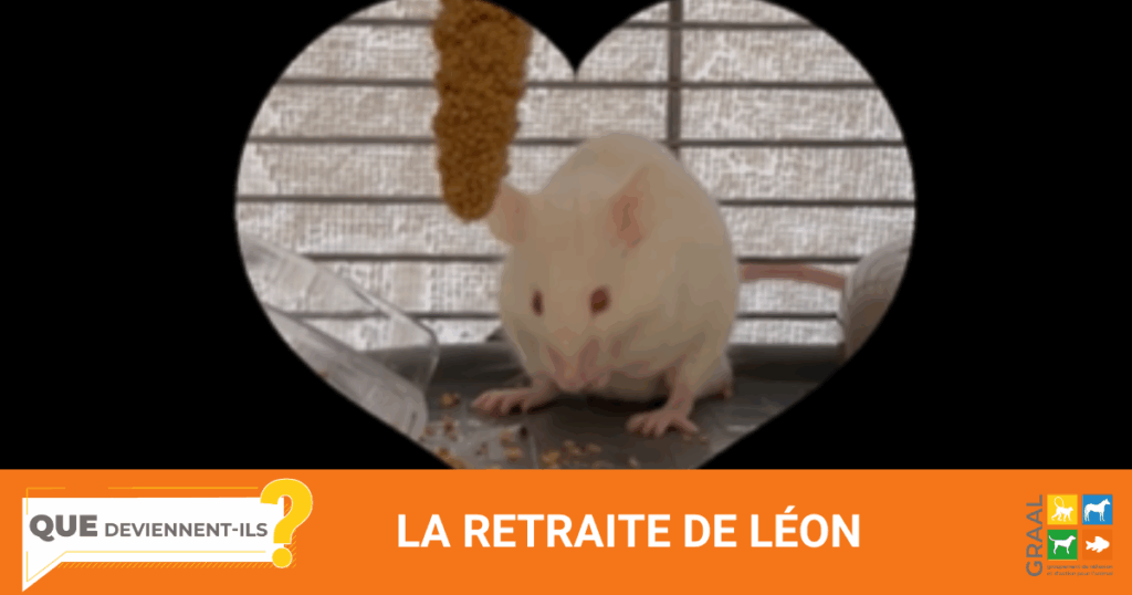 La retraite de Léon