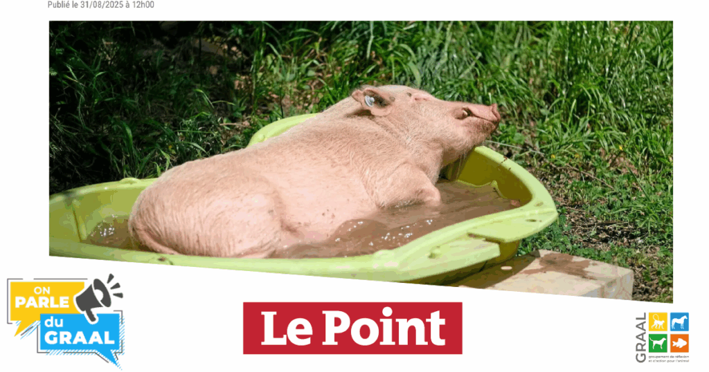 On parle du GRAAL On parle du GRAAL