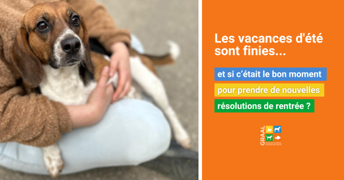 Bonne résolution de rentrée