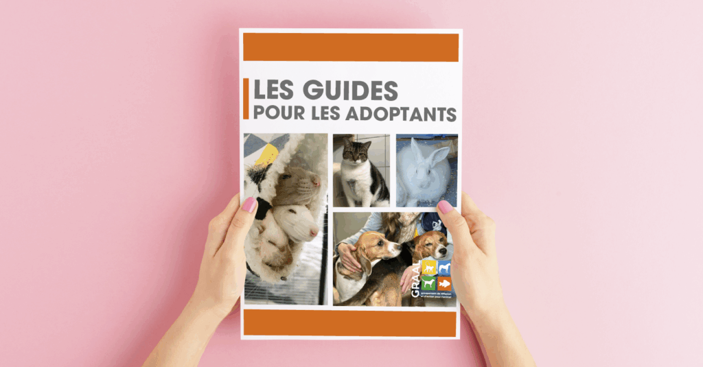 Les guides pour les adoptants Les guides pour les adoptants