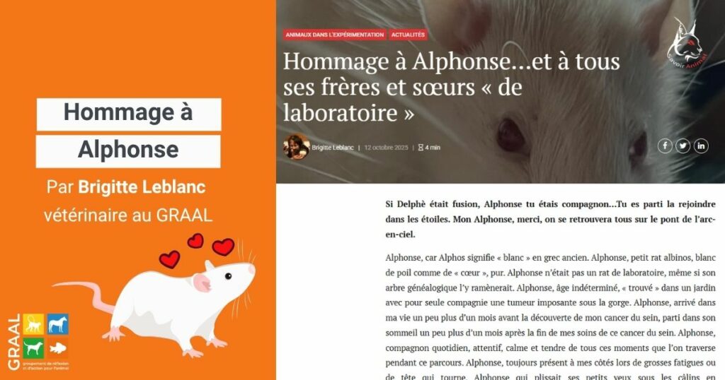 Hommage à Alphonse