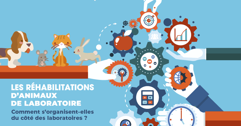 Réhabilitations : comment s’organisent-elles du côté des laboratoires ?