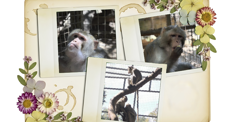 Retiro en España Retiro en España