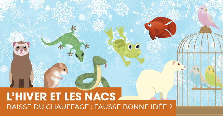 Baisse du chauffage : fausse bonne idée ?