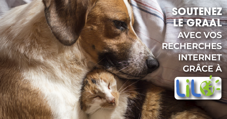 Soutenez le GRAAL avec vos recherches internet Soutenez le GRAAL avec vos recherches internet