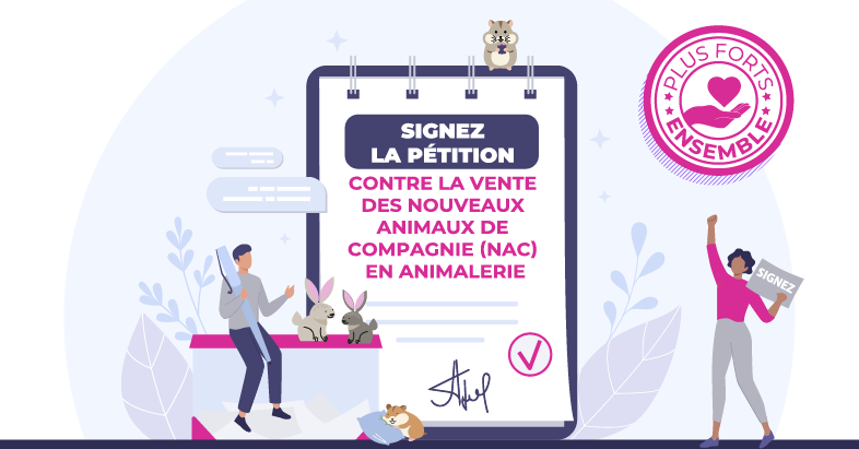 Pétition contre la vente des NAC en animalerie
