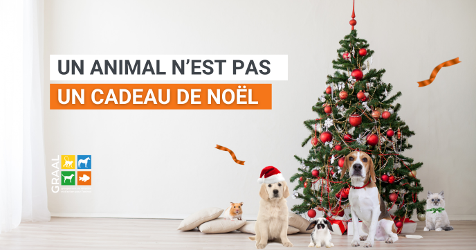 Les animaux ne sont pas des cadeaux de Noël