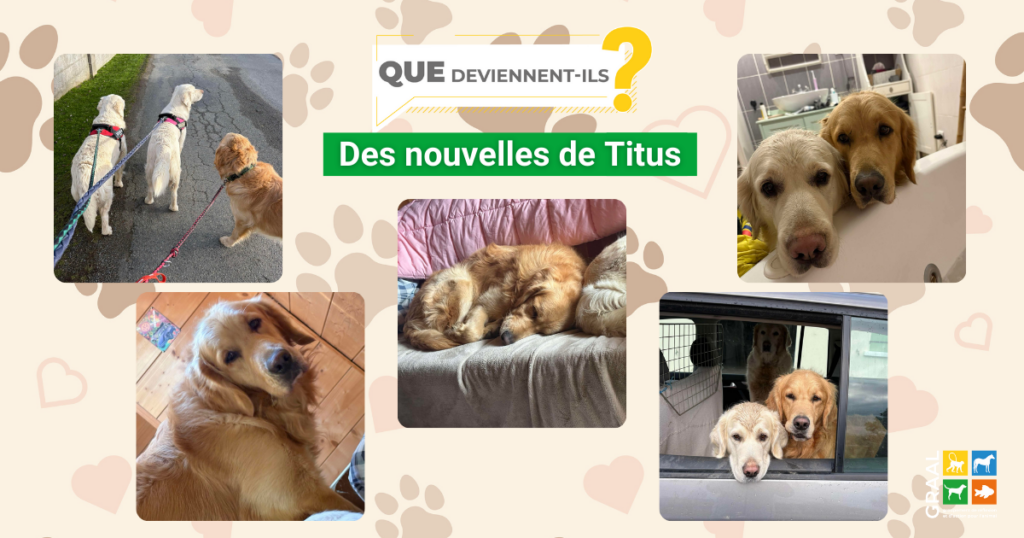 Des nouvelles de Titus Des nouvelles de Titus