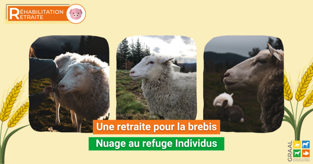 Comme sur un nuage !