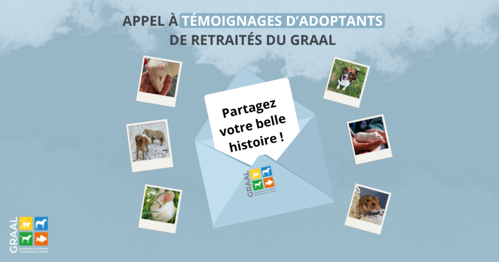 Appel à témoignages : adoptants