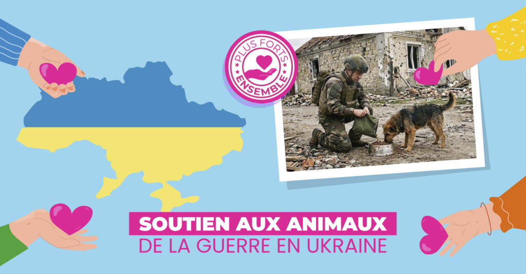 Soutien aux animaux de la guerre en Ukraine