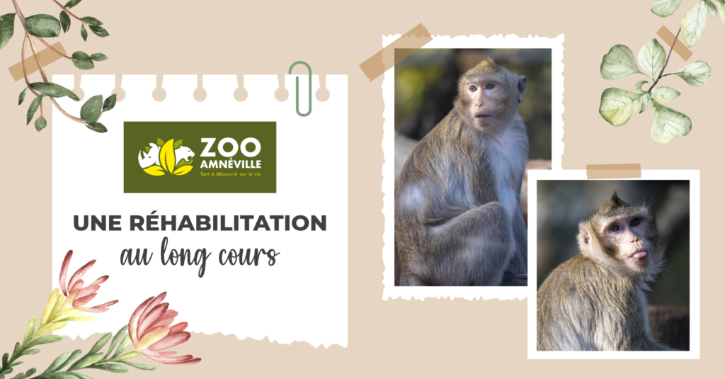 Témoignage de Albane Pillaire, directrice du zoo d’Amnéville