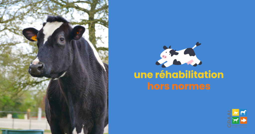 Une réhabilitation hors normes ! Une réhabilitation hors normes !