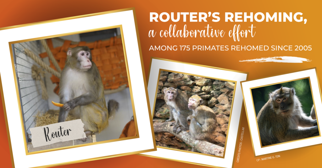 La retraite de Router : un engagement collectif