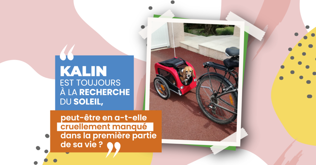 Elle a appris à aimer le soleil Elle a appris à aimer le soleil