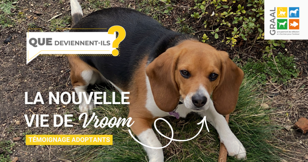 Les 2 ans de Vroom !