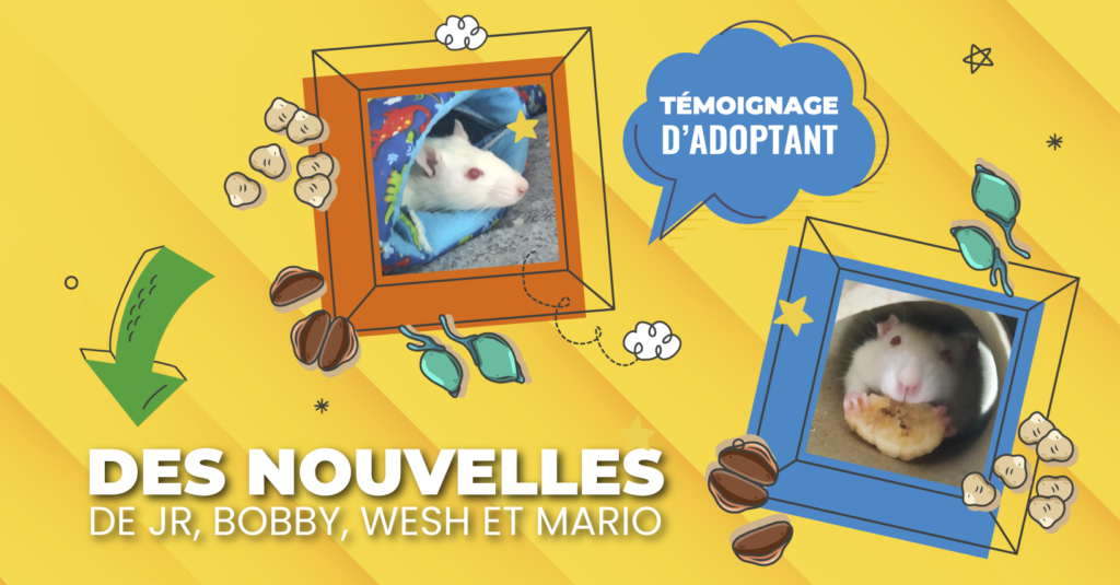 Des nouvelles de JR, Bobby, Wesh et Mario