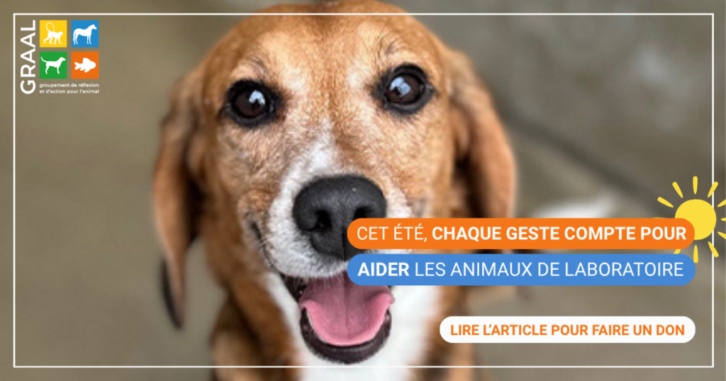 Soutenez le GRAAL à accompagner les sorties de laboratoire cet été Soutenez le GRAAL à accompagner les sorties de laboratoire cet été